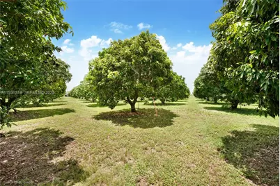 206 SW Street Between 137 Ave & 139 Ave, Miami, FL 33177 - Photo 3