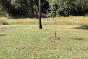 3035 Harvard Cir, Labelle, FL 33935 - Photo 13