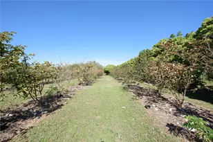 21295 SW 376th St, Homestead, FL 33034 - Photo 29