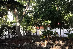 6530 W 2nd Ct, Hialeah, FL 33012 - Photo 13