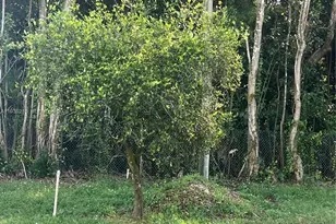 17540 SW 254th St, Homestead, FL 33031 - Photo 61