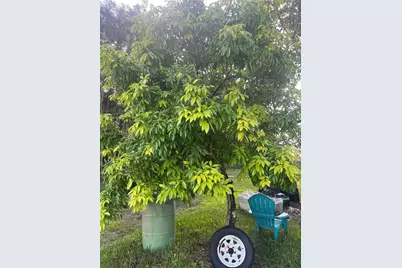 17540 SW 254th St, Homestead, FL 33031 - Photo 65