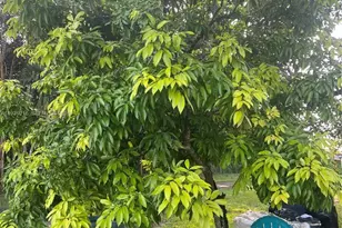 17540 SW 254th St, Homestead, FL 33031 - Photo 65