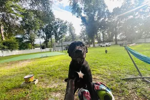 399 SW Broderick Dr, Other City - In The State Of Florida, FL 32025 - Photo 35