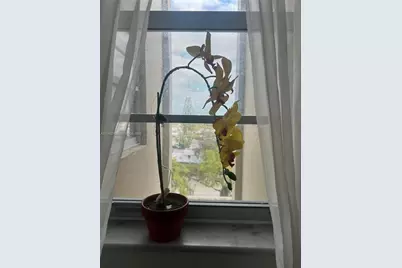 1811 Jefferson St #603, Hollywood, FL 33020 - Photo 9