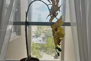 1811 Jefferson St, Hollywood, FL 33020 - Photo 9