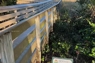 184 W Bay Cedar Cir, Jupiter, FL 33458 - Photo 43