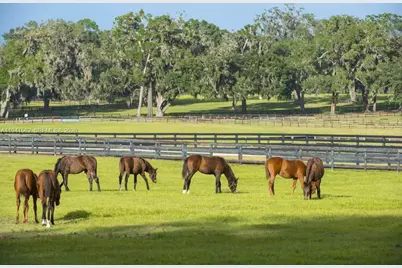 15821 SW 49th St, Southwest Ranches, FL 33331 - Photo 59
