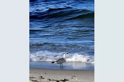 3140 S Ocean Dr #1705, Hallandale Beach, FL 33009 - Photo 23