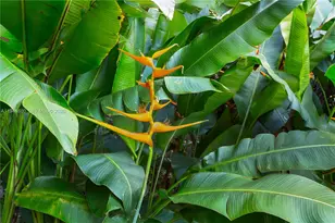 1901 Country Club Prado, Coral Gables, FL 33134 - Photo 51