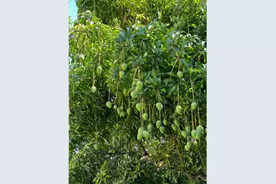 13135 SW 218th Ter, Miami, FL 33170 - Photo 45