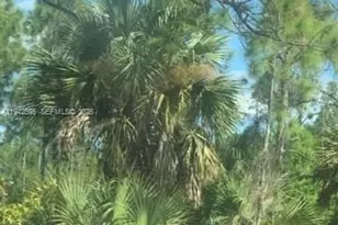 1000 W 11th St, Lehigh Acres, FL 33972 - Photo 1