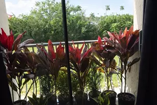 500 NE 2nd St, Dania Beach, FL 33004 - Photo 5