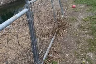 20610 SW 120th Pl, Miami, FL 33177 - Photo 19