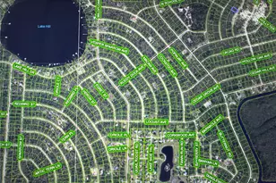 1230 Dogwood, Lake Placid, FL 33852 - Photo 3