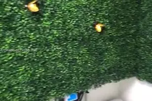 11750 NE 16th Ave, Miami, FL 33161 - Photo 25