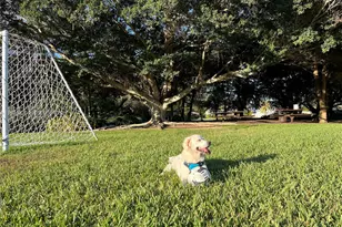 700 Verona Ct, Weston, FL 33326 - Photo 59