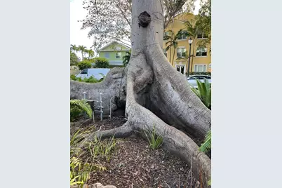 852 SW 13th Ave #3, Miami, FL 33135 - Photo 19