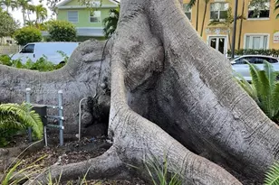 852 SW 13th Ave, Miami, FL 33135 - Photo 19