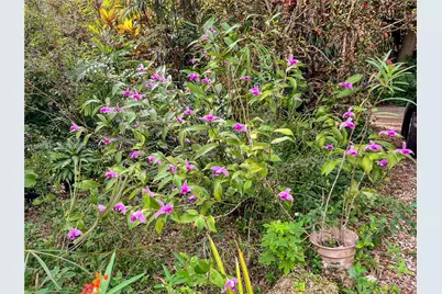 3835 Utopia Ct, Miami, FL 33133 - Photo 33