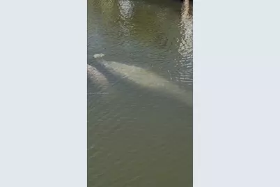 11 Flamingo Rd, Key Largo, FL 33037 - Photo 3