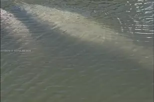 11 Flamingo Rd, Key Largo, FL 33037 - Photo 3