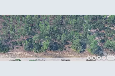 1407 Sheldon Ave, Lehigh Acres, FL 33972 - Photo 3