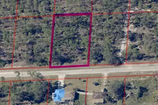 1407 Sheldon Ave, Lehigh Acres, FL 33972 - Photo 1