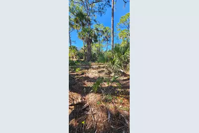 414 Valleybrook Drive, Labelle, FL 33935 - Photo 5