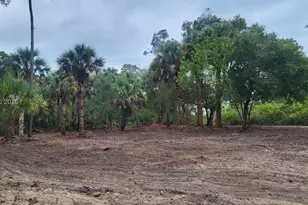 315 Ivanhoe Ave, Labelle, FL 33935 - Photo 1