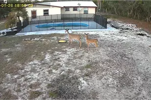 3709 Grand Concuorse, Sebring, FL 33875 - Photo 63