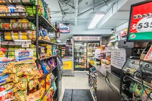 325 S Biscayne Blvd, Miami, FL 33131 - Photo 57