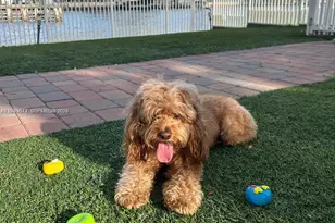 3600 Mystic Pointe Dr, Aventura, FL 33180 - Photo 33