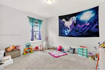 906 906 Swaying Sawgrass Avenue, Ruskin, Ruskin, FL 33570 - Photo 17