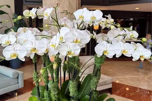 4000 Island Blvd, Aventura, FL 33160 - Photo 17