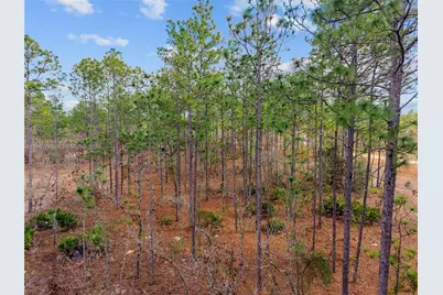 Tbd SW 128th Terrace Road, Ocala, FL 34481 - Photo 9