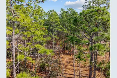 Tbd SW 128th Terrace Road, Ocala, FL 34481 - Photo 23