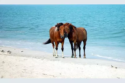 12570 SW 45th St, Miami, FL 33175 - Photo 25