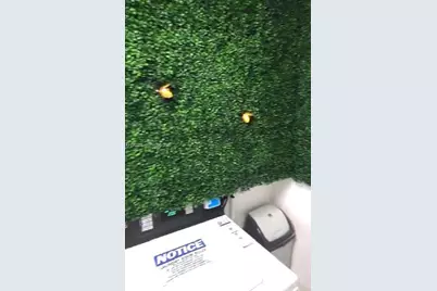 2101 Normandy Dr #306, Miami Beach, FL 33141 - Photo 33