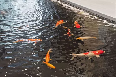 333 Las Olas Way #3006, Fort Lauderdale, FL 33301 - Photo 49