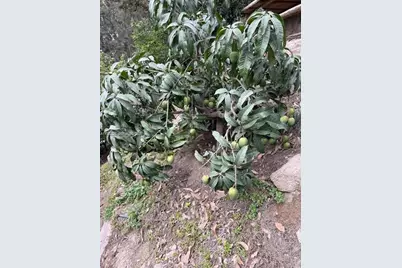 130 Av. Malecon, California, Chosica, Lima - Peru, , FL  - Photo 19