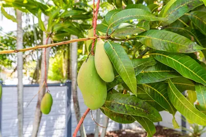 12969 SW 220th Ter, Miami, FL 33170 - Photo 41