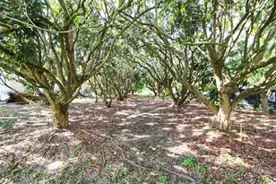 37225 SW 214th Ave, Homestead, FL 33034 - Photo 77