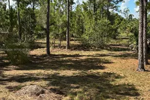 1980 Al Don Farming Rd, Clewiston, FL 33440 - Photo 7