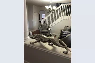 15978 SW 148th Ter, Miami, FL 33196 - Photo 3