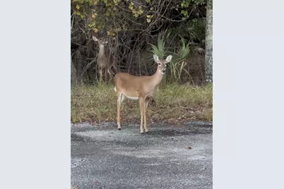 11330 Camp Mack Rd, Lake Wales, FL 33898 - Photo 21