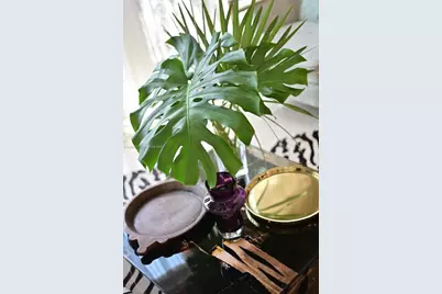 6114 Paradise Point Dr, Palmetto Bay, FL 33157 - Photo 47