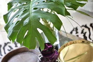 6114 Paradise Point Dr, Palmetto Bay, FL 33157 - Photo 47