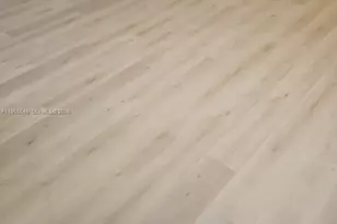 557 Michigan Ave, Miami Beach, FL 33139 - Photo 21