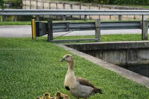 5700 White Hickory Cir, Tamarac, FL 33319 - Photo 17